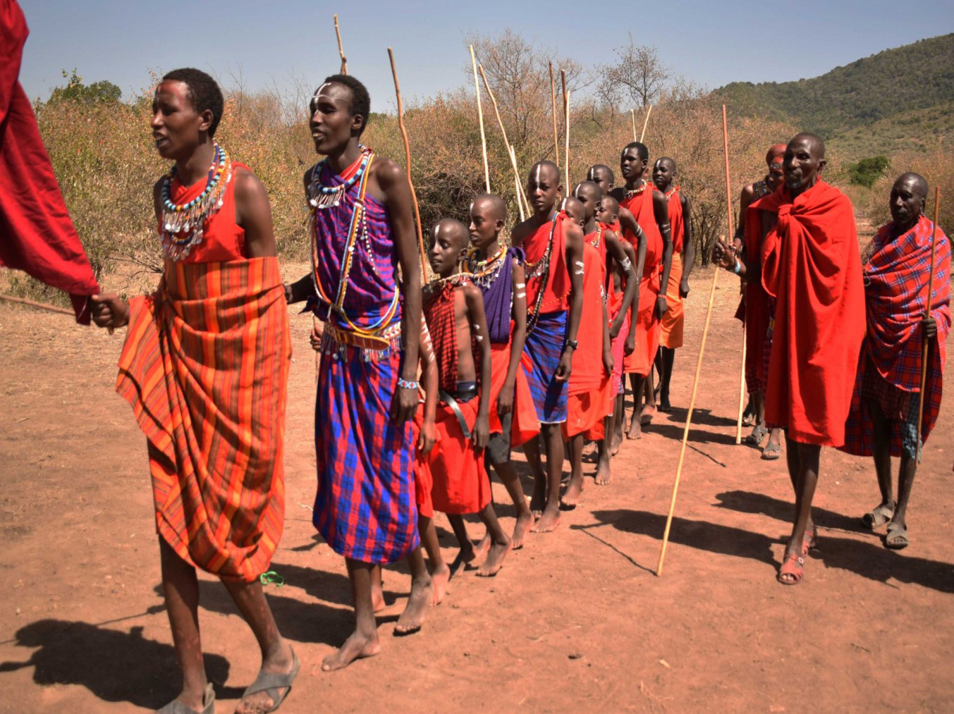 Initiates heading back to the Manyatta accompanied by elders for the Enkipaata ceremony